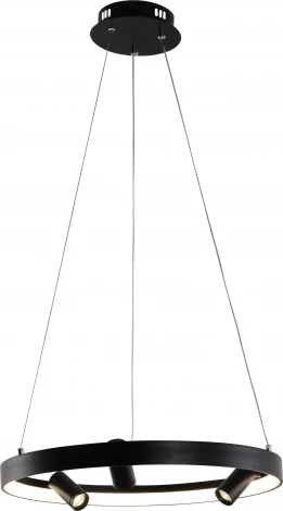 Подвесной светильник со спотами Rivoli Selena 6147-101 (регулировка яркости, LED, 220V, пульт управления, на тросе, круглые)