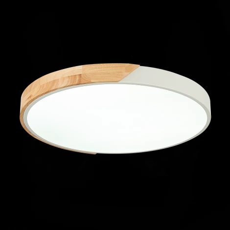 Потолочный светильник Evoluce Festa SLE200952-01