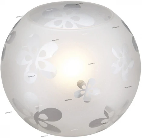 Massive Chesty 43222-56-10