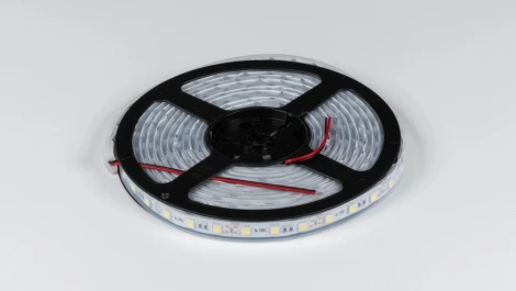 Светодиодная лента SWG SWG560 SWG560-12-14.4-UW-66-M