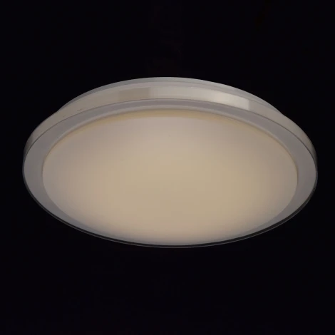 Потолочный светильник MW-Light Ривз 674012701