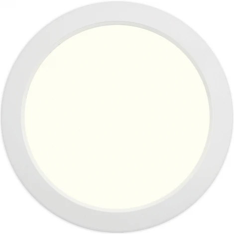 Встраиваемый светильник IP54 LED Wolta Даунлайт ДВО06-30-001-3К 30Вт 3000К матовый