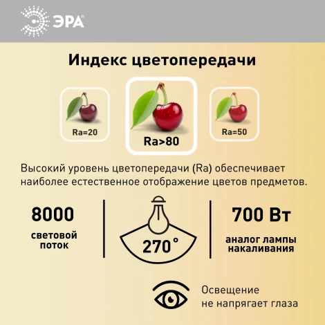 Лампочка светодиодная E27 переходник на E40 100 Вт ЭРА LED POWER 100W-4000-E27/E40 LED POWER T160-100W-4000-E27/E40