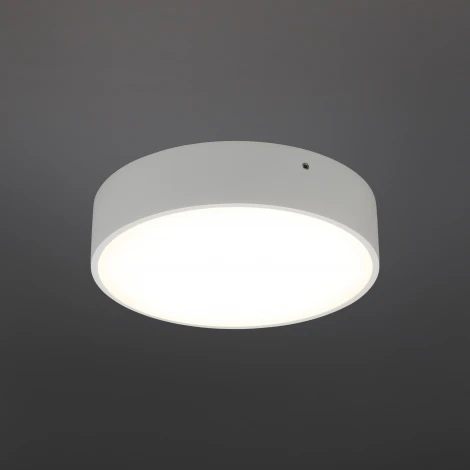 Потолочный светильник круглый Aployt Evon APL.0114.09.18 (LED, 220V, круглые)