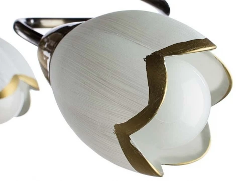 Потолочная люстра Arte Lamp Perce A6061PL-6AB