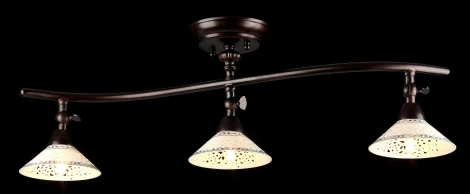 Спот Maytoni Spot 2 ECO002-03-R