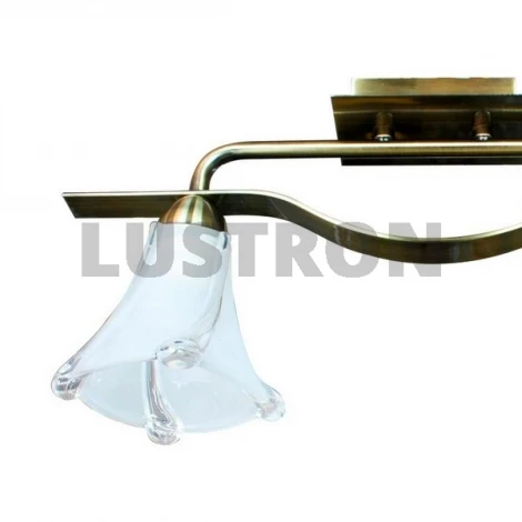 Потолочный светильник ST Luce SL308 SL308.302.02