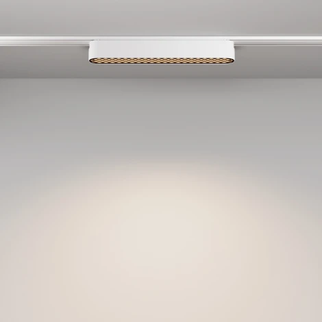 Трековый светильник Basis Grid Radity 4000K 12Вт 120° LED (магнитный) Maytoni Technical TR084-1-12W4K-W