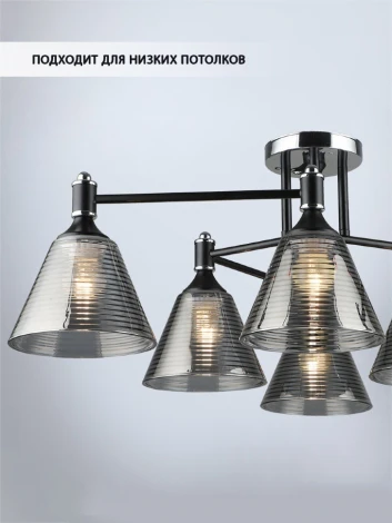 Потолочная люстра Wedo Light Anneta WD3619/6C-BK-CR-SMK