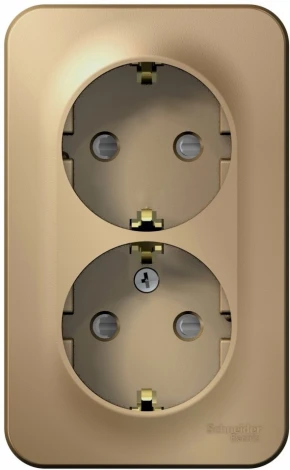 Розетка накладная двойная с заземлением и шторками (титан) Systeme Electric Blanca BLNRA011204