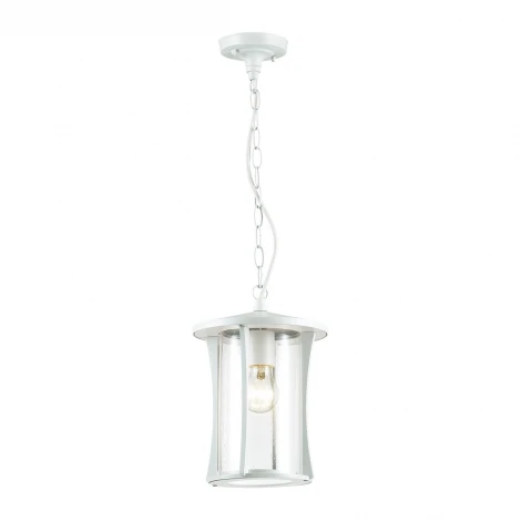 Уличный светильник подвесной Odeon Light Galen 4173/1