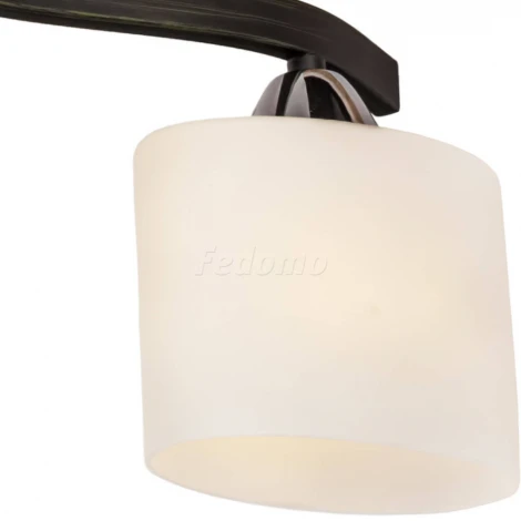 Потолочная люстра Silver Light Astoria 234.59.3