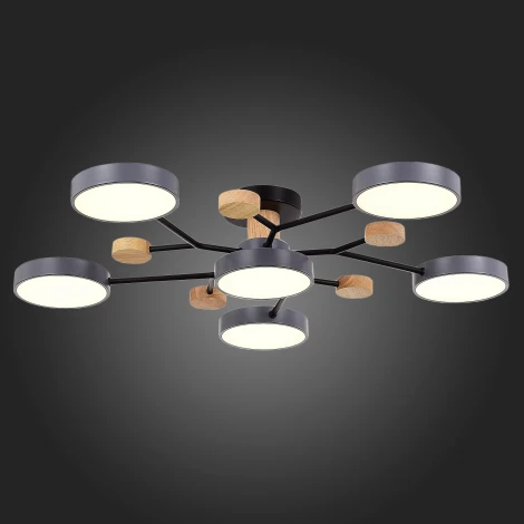 Потолочная люстра на штанге Evoluce Faema SLE6006-702-06