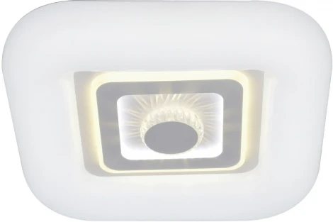 Светильник потолочный светодиодный Casket 10220/SG LED*100W White