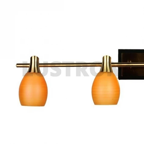 Спот Omnilux OML-217 OML-21701-04