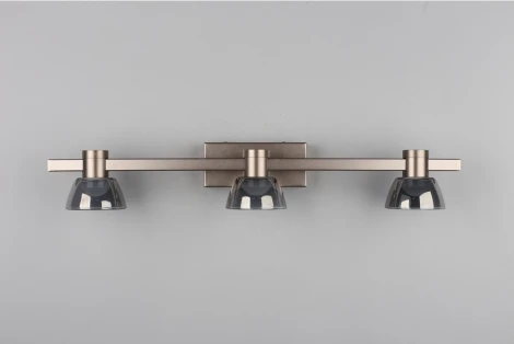 Настенный светильник Aployt Rezeda APL.788.01.03 (LED, 220V)