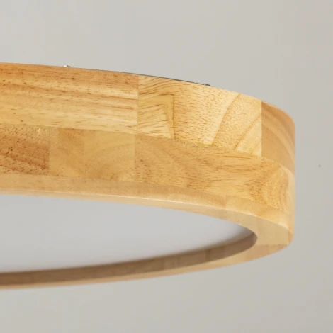 Потолочный светильник круглый светодиодный De City Норден 660015501