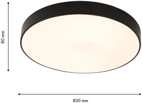 Потолочный светильник круглый F-Promo Arena 4684-8C (регулировка яркости, LED, 220V, пульт управления, круглые)