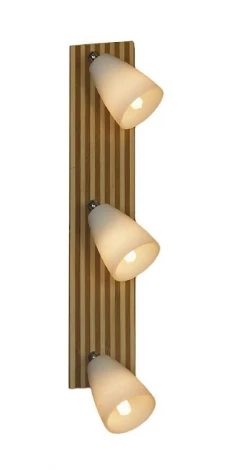 Настенный светильник Lussole Monticello LSN-4801-03