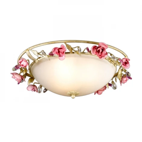 Потолочный светильник Odeon Light Oxonia 2585/3