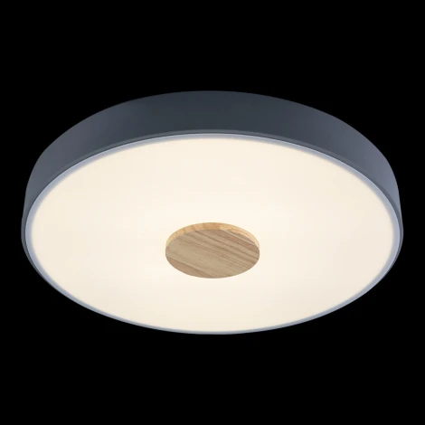 Потолочный светильник круглый Loft IT Axel 10003/24 Grey (LED, 220V, круглые)