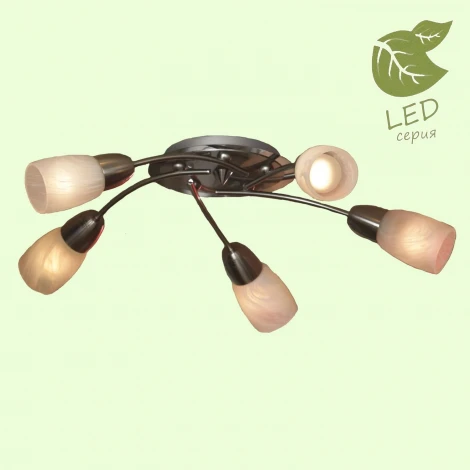 Потолочная люстра Lussole Cevedale GRLSQ-6907-05