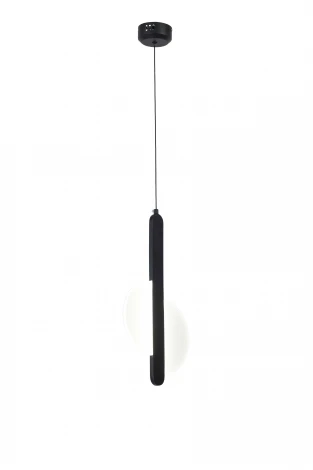 Подвесной светильник светодиодный AM Group AM469 BK (на проводе)