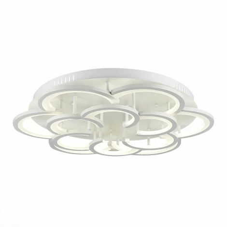 Потолочная люстра Evoluce Bonn SLE200502-12