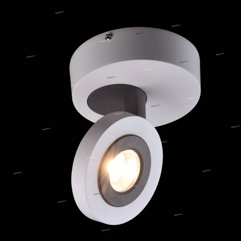 Спот карданный MW-Light Астор 545020801 (LED, 220V, круглые)