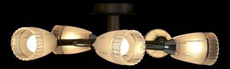 Потолочная люстра IDLamp Carlotta 865/5PF-Darkchrome