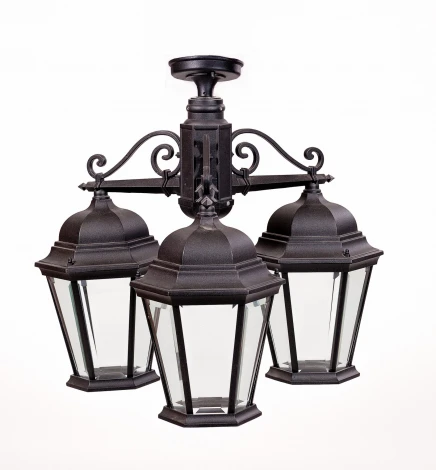 Потолочный светильник уличный Oasis Light ASTORIA 2 91470LA/3 Bl (220V, IP44)