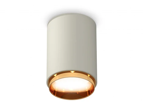 Накладной точечный светильник Ambrella Techno Spot XS6314024 (220V, круглые)