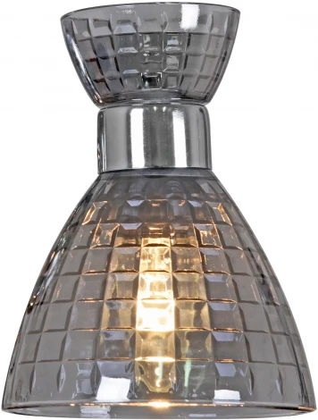 Потолочная люстра на штанге Reluce 07305-0.3-03 (220V)