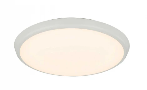 Потолочный светильник уличный Globo Aemon 32109S