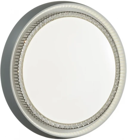 Настенно-потолочный светильник Sonex Rahig 7644/DL пластик/белый/серый LED 48Вт 4000К D425 IP43