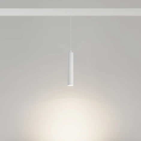 Трековый светильник магнитный светодиодный MAG-ORIENT-SPOT-HANG-R45-12W Day4000 (WH, 24 deg, 48V) (Arlight, IP20 Металл) 035828