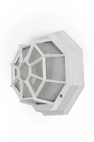 Уличный настенный светильник Oasis Light SIDNEY 10834 W (220V, IP54)