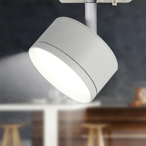 Трековый светильник ЭРА TR48 - GX53 WH (220V, круглые)