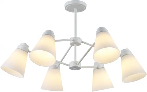 Потолочная люстра на штанге Reluce 74532-0.3-06 (220V)