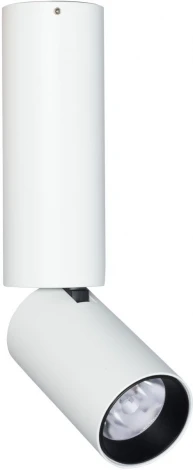 Спот светодиодный DeMarkt Информ 851011301 (220V, круглые)