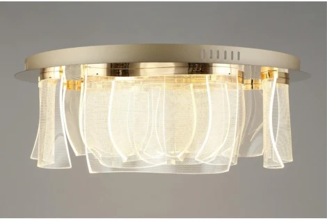 Потолочная люстра светодиодная Aployt Annetta APL.864.07.50 (220V, круглые)