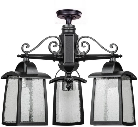 Потолочный светильник уличный Oasis Light FRANKFURT I 27370A 3 02 Bl