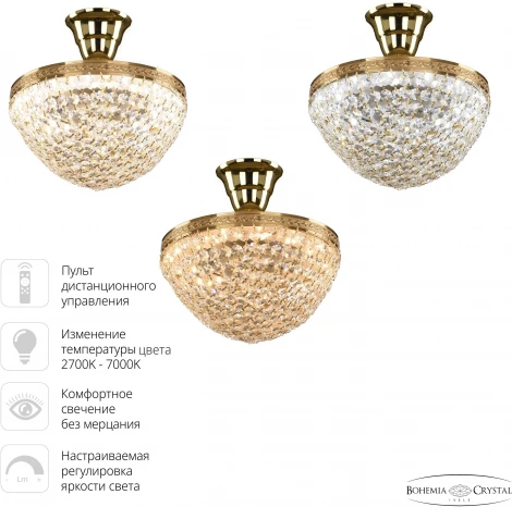 Потолочная люстра на штанге Bohemia 1932 19321/25IV/LED-DIM G (регулировка яркости, 220V, хрусталь, пульт управления, круглые)