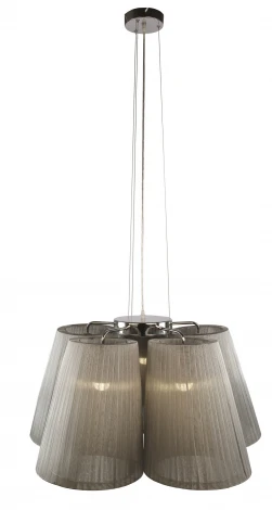 Подвесная люстра Arte Lamp Palmer A9535LM-5SS