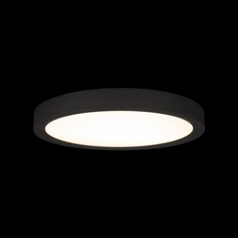 Потолочные светильники Loft It Extraslim 10227/24 Black (LED, 220V, круглые)