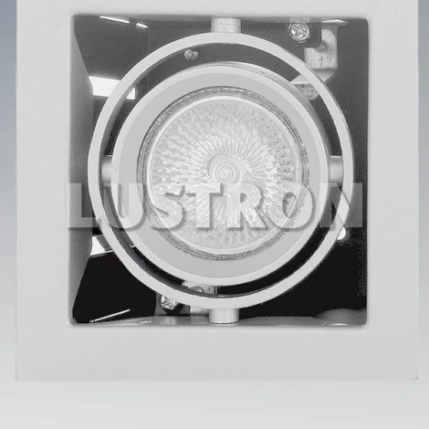 Встраиваемый точечный светильник Lightstar Cardano 214010 (220V)