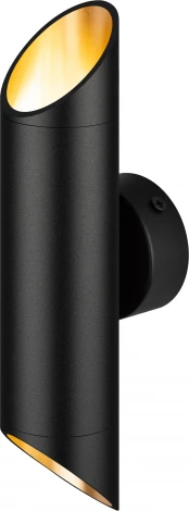 Настенный светильник ЭРА WL52 BK/GD