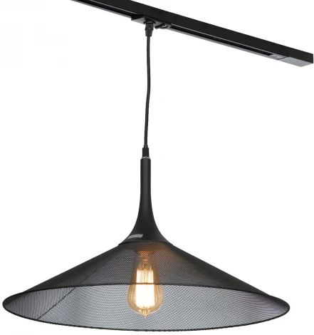 Трековый светильник Lussole Loft Cheektowaga LSP-9813-TAB (220V, IP21)