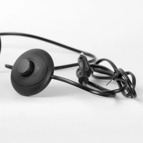 Торшер Lussole LGO Prairie LSP-0654 (220V, выключатель)