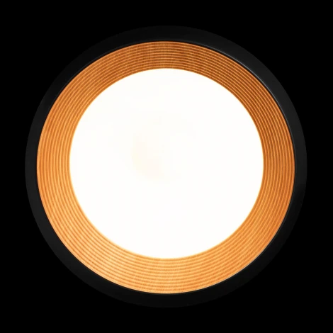 Потолочный светильник круглый Loft It Folk 10255/500 Black (LED, 220V, круглые)